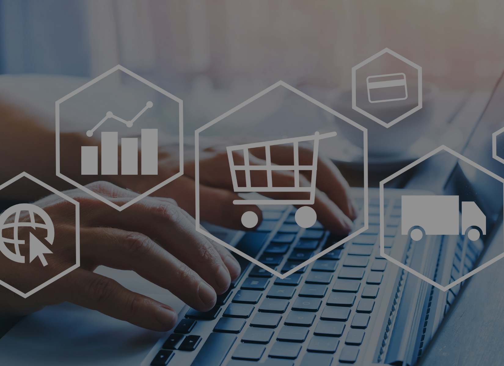 eCommerce Fraud Management