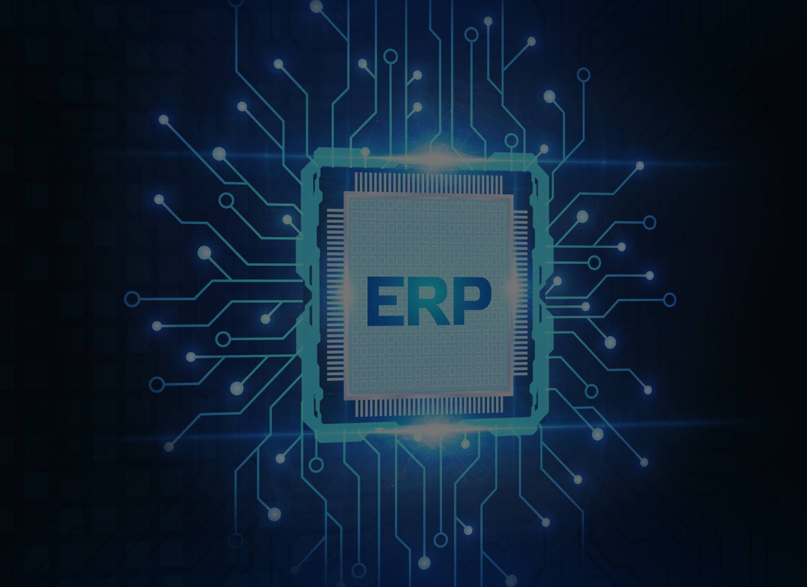 ERP Sets Ecommerce Startups for Success