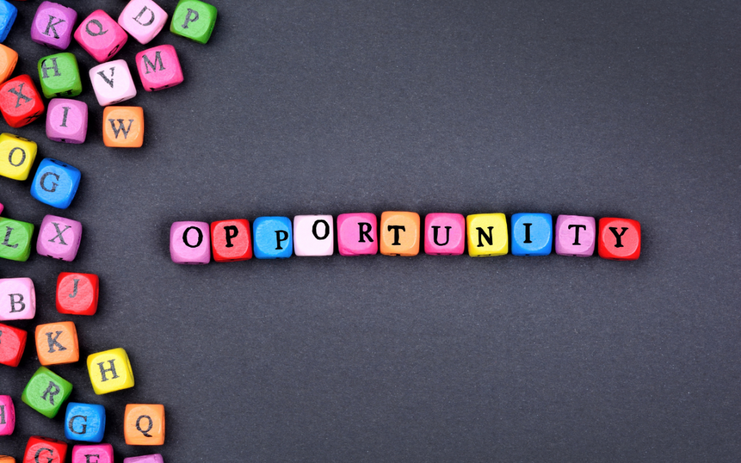 Your ERP is running your business.  Why aren’t your payments part of it?