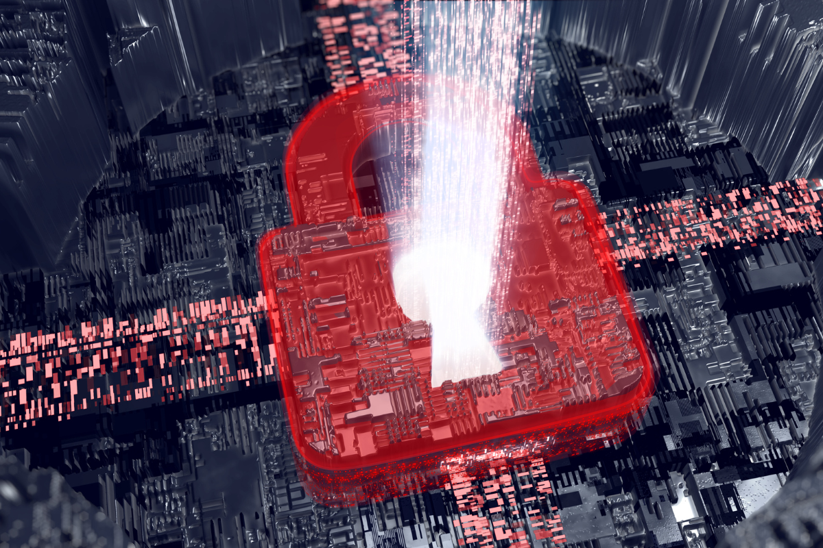 ISV leadership reviewing payment risk management and fraud prevention costs