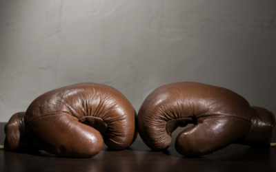 Chargeback win rate is the wrong metric.